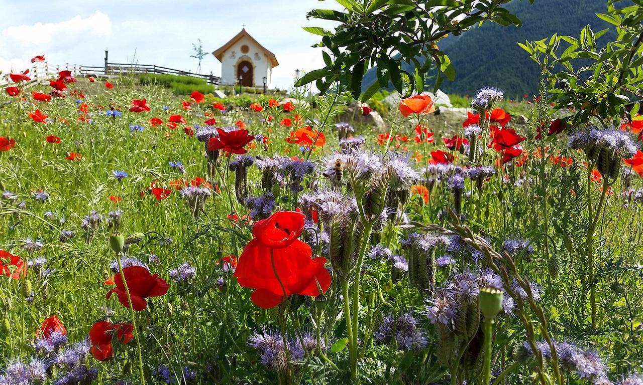 Forster'S Naturresort Neustift im Stubaital Kültér fotó